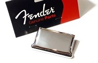 Fender ST BG Cover